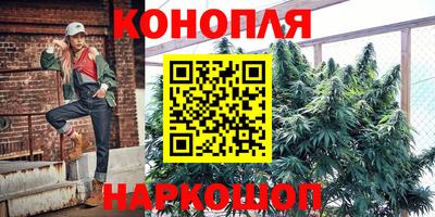 индика Берёзовский