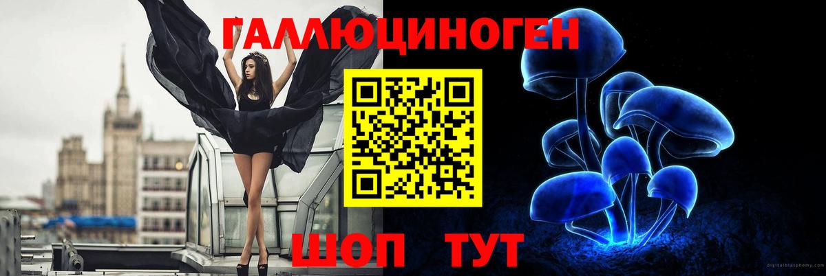 Псилоцибиновые грибы Cubensis  Псилоцибиновые грибы мухоморы  Воронеж  купить наркотик  Вход с VPN 
